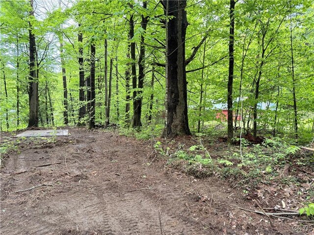 13200 Henry Rd, Diana, NY 13665