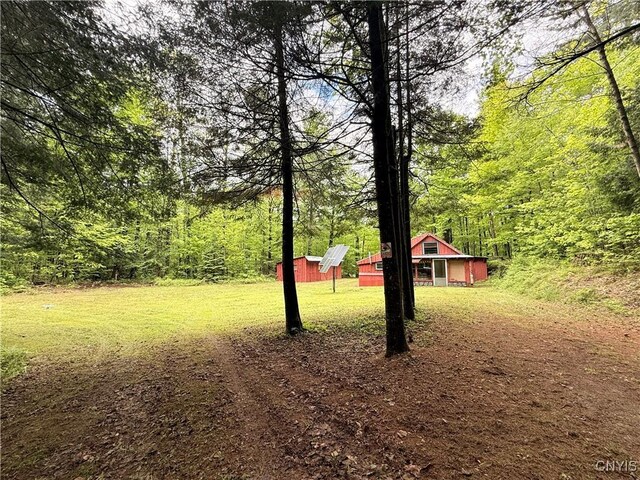 13200 Henry Rd, Diana, NY 13665