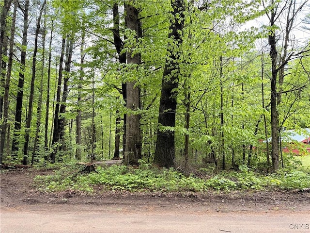 13200 Henry Rd, Diana, NY 13665