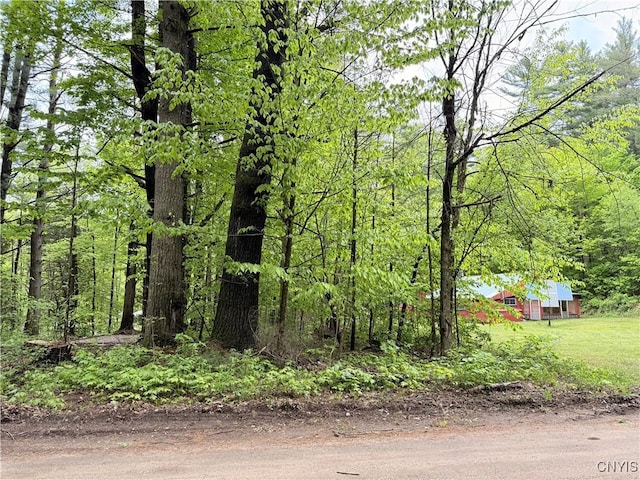 13200 Henry Rd, Diana, NY 13665