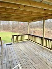 1984-2008 S Genesee St, Montour, NY 14865 - view of wooden deck