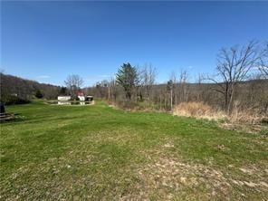 1984-2008 S Genesee St, Montour, NY 14865 - view of green lawn featuring a view of rural / pastoral area