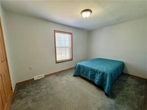 1984-2008 S Genesee St, Montour, NY 14865 - view of carpeted bedroom