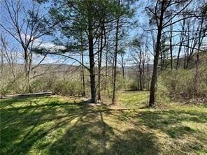 1984-2008 S Genesee St, Montour, NY 14865 - view of yard