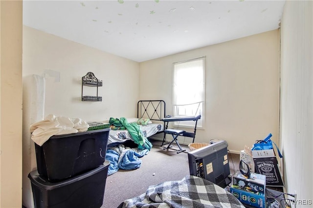 miscellaneous room featuring carpet