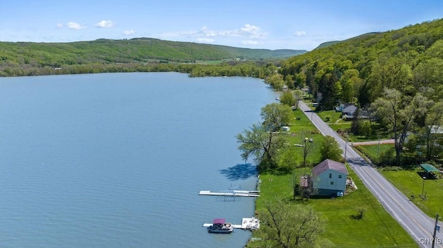 aerial view of a forest and a large body of water