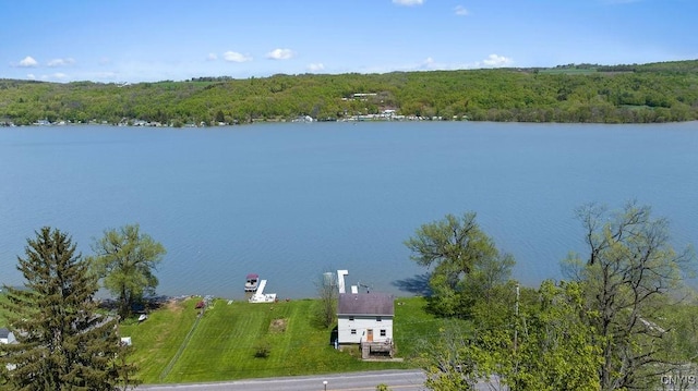 water view featuring a heavily wooded area