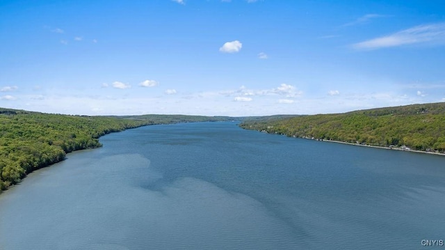 water view with a heavily wooded area