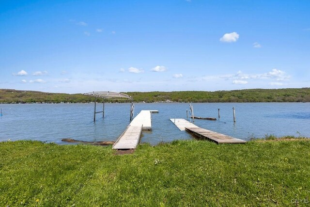 dock area featuring a water view