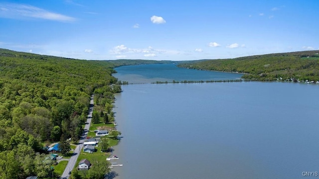 water view with a forest