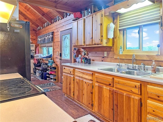 2669 Town Line Rd, Mount Morris, NY 14517 - kitchen with wood ceiling, a sink, wood walls, plenty of natural light, and light countertops