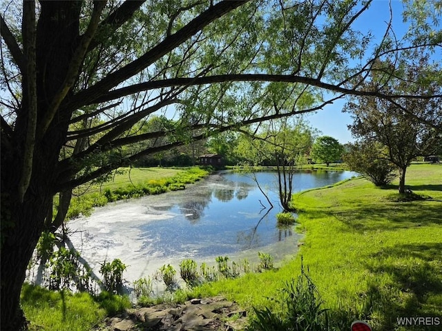2669 Town Line Rd, Mount Morris, NY 14517 - water view