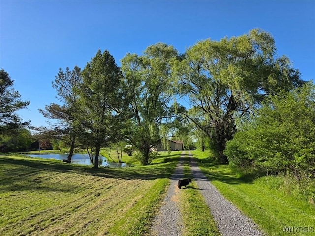 2669 Town Line Rd, Mount Morris, NY 14517 - view of property's community with a water view and a lawn
