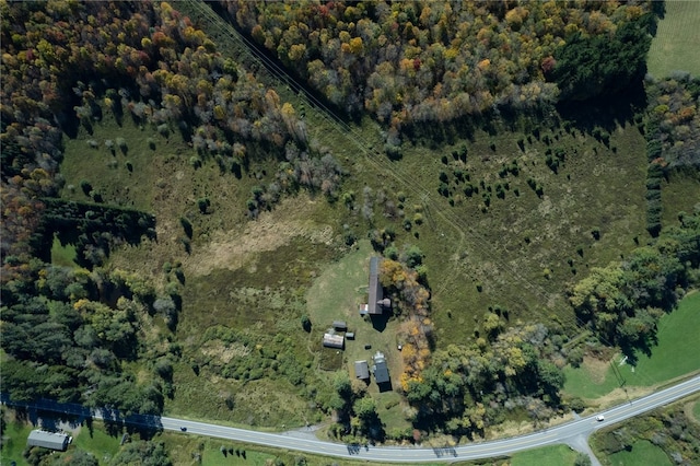 12568 State Highway 28, Meredith, NY 13753 - photo 9