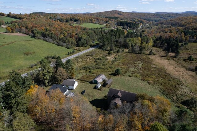 12568 State Highway 28, Meredith, NY 13753 - photo 10