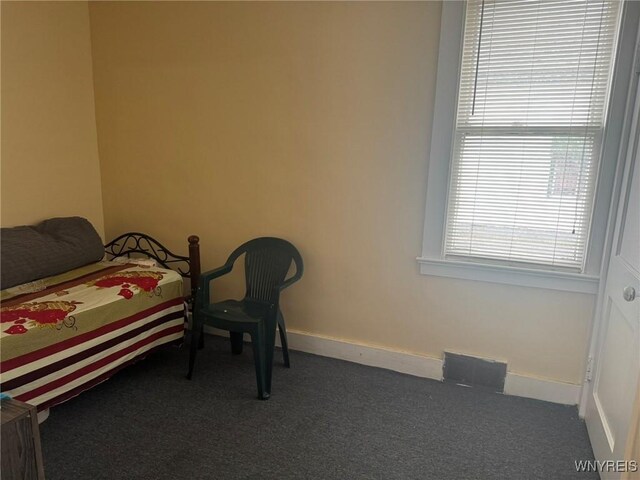 231 Grider St, Buffalo, NY 14215 - bedroom with carpet and baseboards