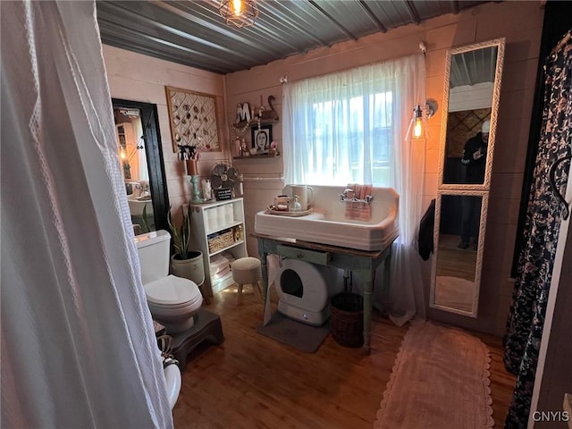bathroom featuring wood finished floors, toilet, and a sink