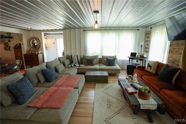 285 Clinton St, Gouverneur, NY 13642 - living room featuring healthy amount of natural light and light wood-style floors
