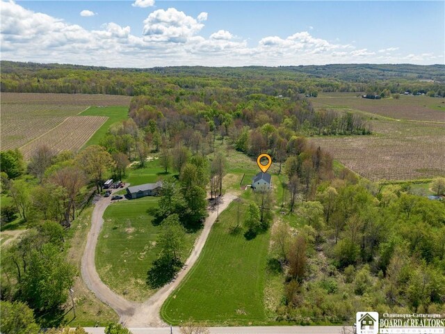 132 Bliss St, Westfield, NY 14787 - photo 29