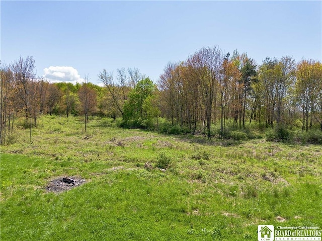 132 Bliss St, Westfield, NY 14787 - photo 32