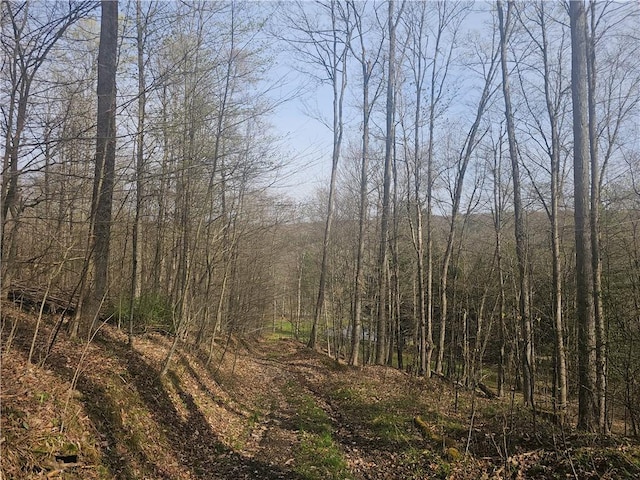 6093 Allentown Rd, Wirt, NY 14739 - photo 12