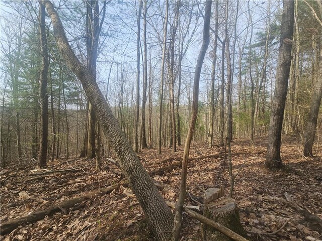 6093 Allentown Rd, Wirt, NY 14739 - photo 13