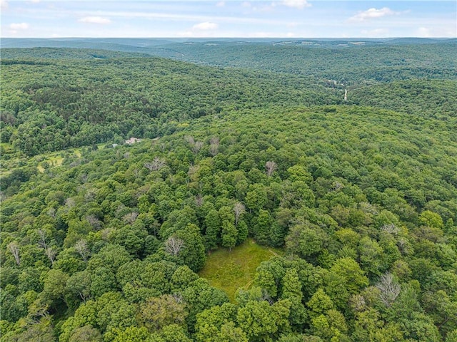 6093 Allentown Rd, Wirt, NY 14739 - photo 43