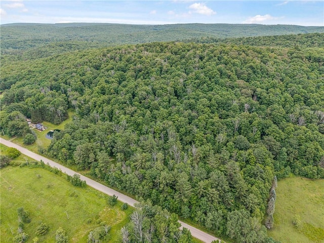 6093 Allentown Rd, Wirt, NY 14739 - photo 45