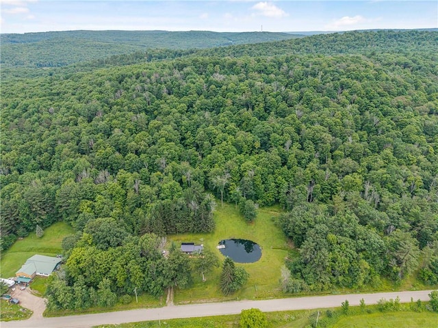 6093 Allentown Rd, Wirt, NY 14739 - photo 46