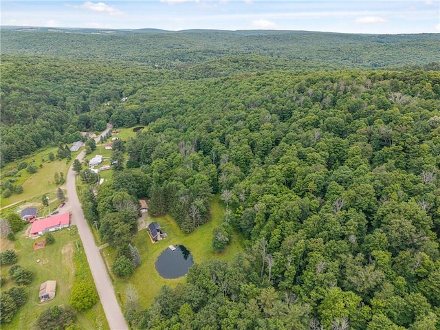 6093 Allentown Rd, Wirt, NY 14739 - photo 47