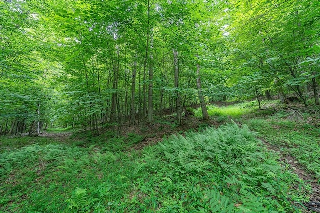 6093 Allentown Rd, Wirt, NY 14739 - photo 14
