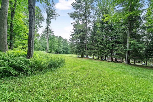 6093 Allentown Rd, Wirt, NY 14739 - photo 20