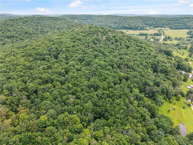6093 Allentown Rd, Wirt, NY 14739 - photo 41