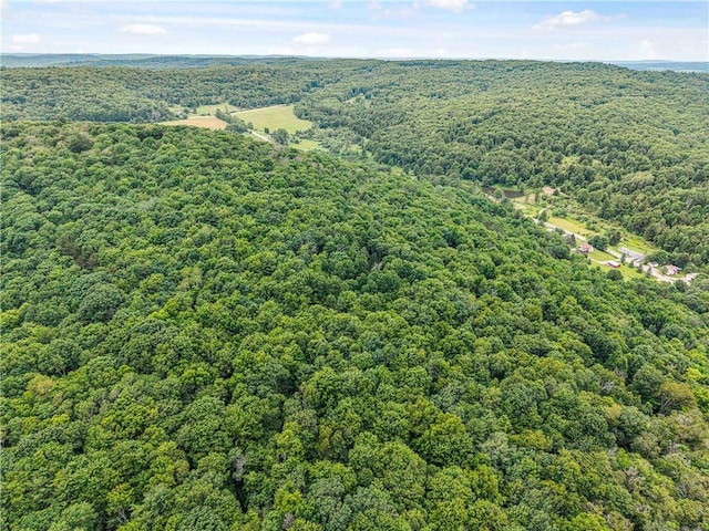 6093 Allentown Rd, Wirt, NY 14739 - photo 42