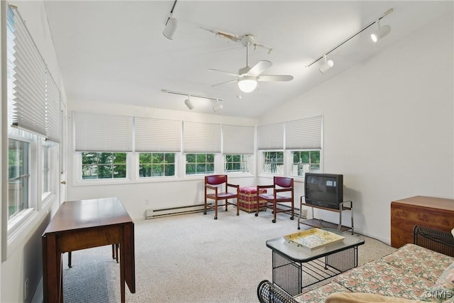 106 Lee Ter, Manlius, NY 13057 - sunroom featuring rail lighting and a baseboard radiator