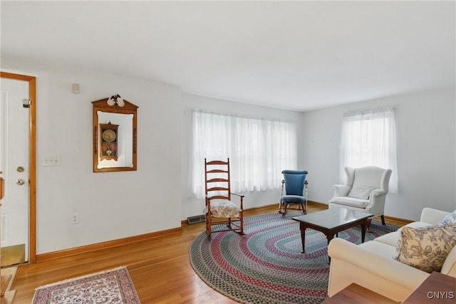 106 Lee Ter, Manlius, NY 13057 - living room with light wood-style floors and baseboards
