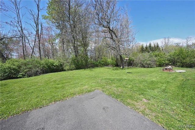 view of grassy yard