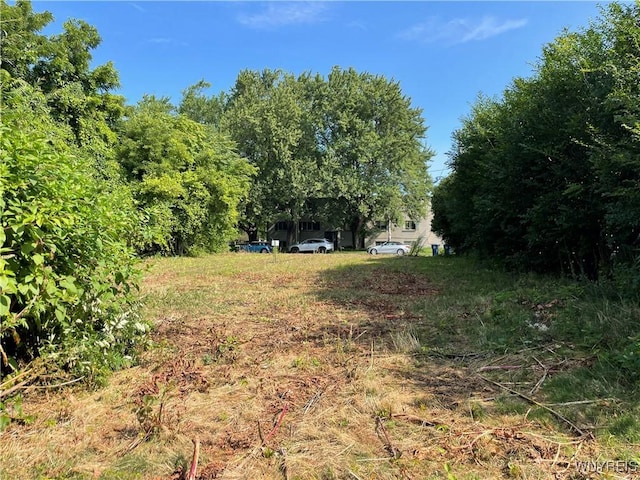 8307 Valle Dr, Niagara Falls, NY 14304 - photo 8