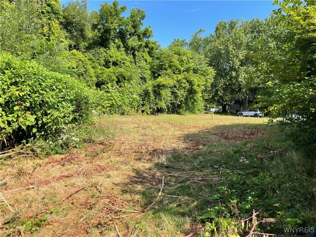 8307 Valle Dr, Niagara Falls, NY 14304 - photo 10