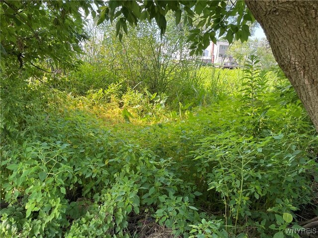 8307 Valle Dr, Niagara Falls, NY 14304 - photo 11
