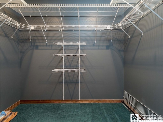 3830 E Ross Mills Rd, Ellicott, NY 14733 - spacious closet with carpet
