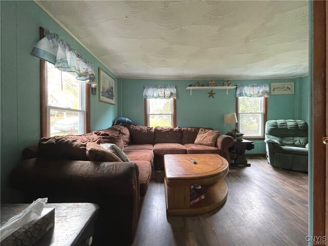 43815 Stine Rd, Alexandria, NY 13679 - living area with wood finished floors and crown molding