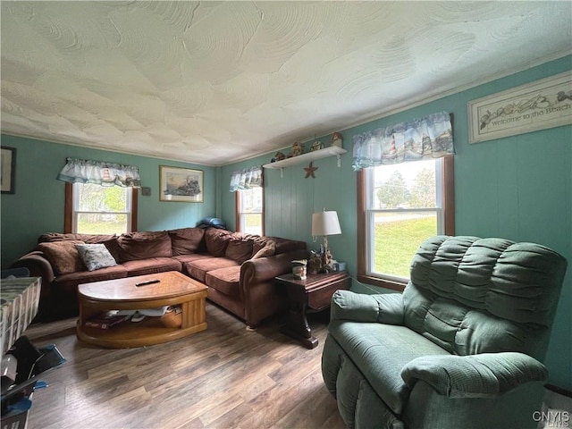 43815 Stine Rd, Alexandria, NY 13679 - living area featuring plenty of natural light and wood finished floors