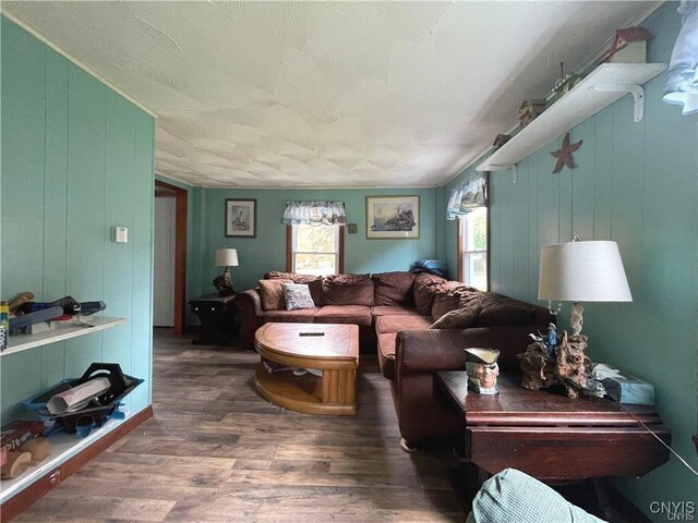 43815 Stine Rd, Alexandria, NY 13679 - living area with wood finished floors