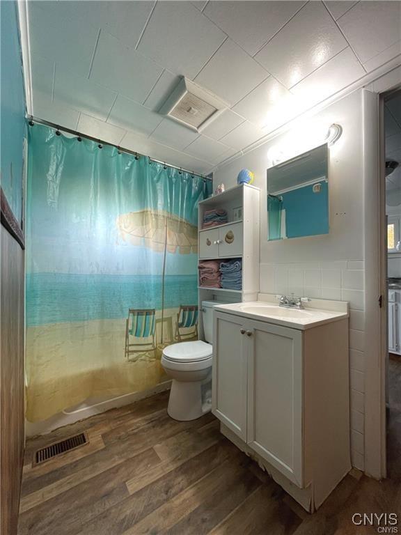 43815 Stine Rd, Alexandria, NY 13679 - bathroom featuring wood finished floors, toilet, and vanity