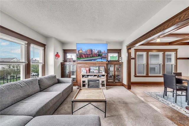 61 Norwalk Ave, Buffalo, NY 14216 - carpeted living area with plenty of natural light, a textured ceiling, and tile patterned flooring