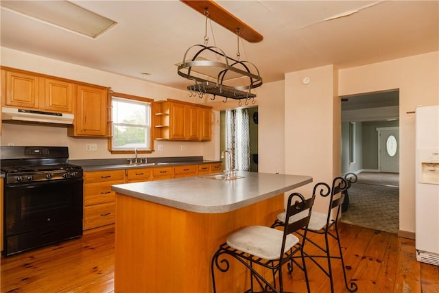 448 Old Ithaca Rd, Horseheads, NY 14845 - kitchen featuring black gas stove, under cabinet range hood, a sink, and hardwood / wood-style flooring