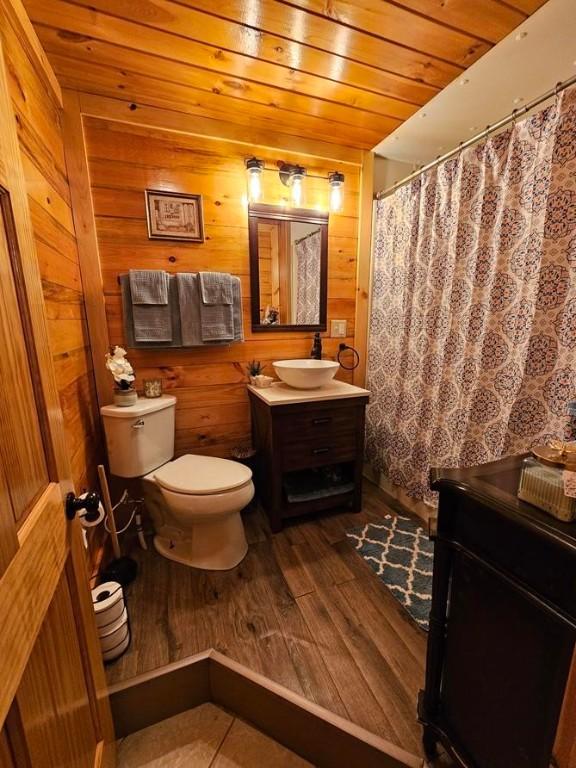 4138 Hubbs Rd, Hector, NY 14818 - bathroom featuring wood finished floors, toilet, vanity, wooden ceiling, and wooden walls