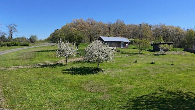 4138 Hubbs Rd, Hector, NY 14818 - view of green lawn