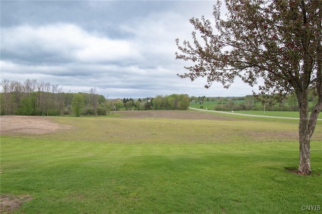 8751 County Route 78, Ellisburg, NY 13650 - photo 11